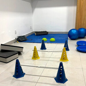 Cinesioterapia Animal