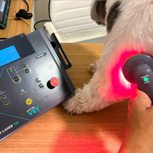 Laserterapia Animal